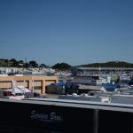 Monterey2016_0170 (April 30, 2016)
